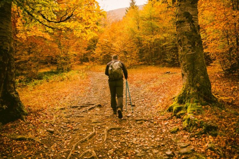 Trail Walking and Hiking Basics for Early Autumn