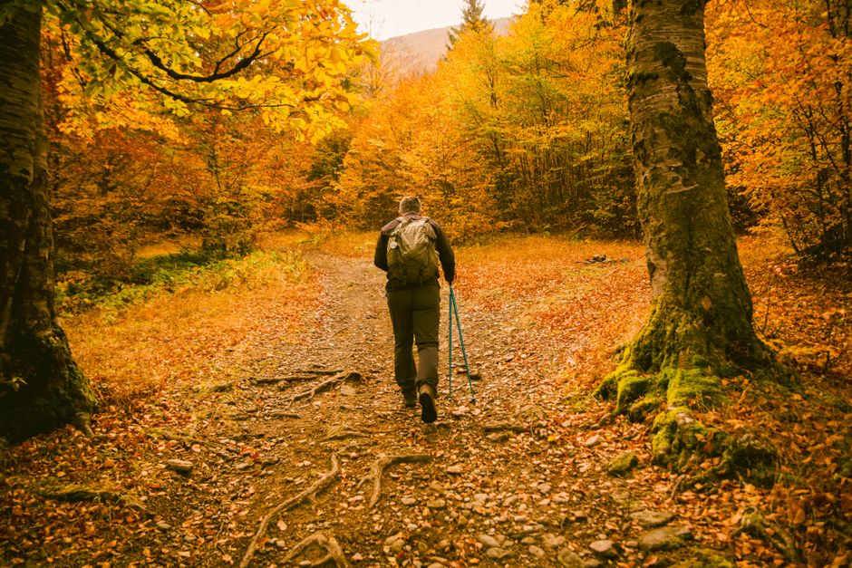 Trail Walking and Hiking Basics for Early Autumn