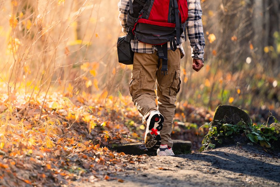 Hiker walking on a trail covered with autumn leaves