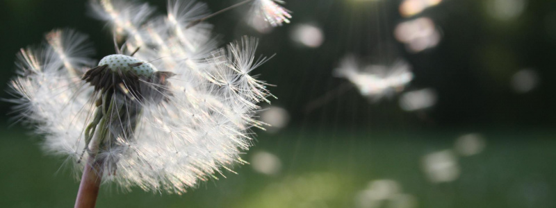 Working out with hay fever: Smart tips for staying active Working out with hay fever: Smart tips for staying active