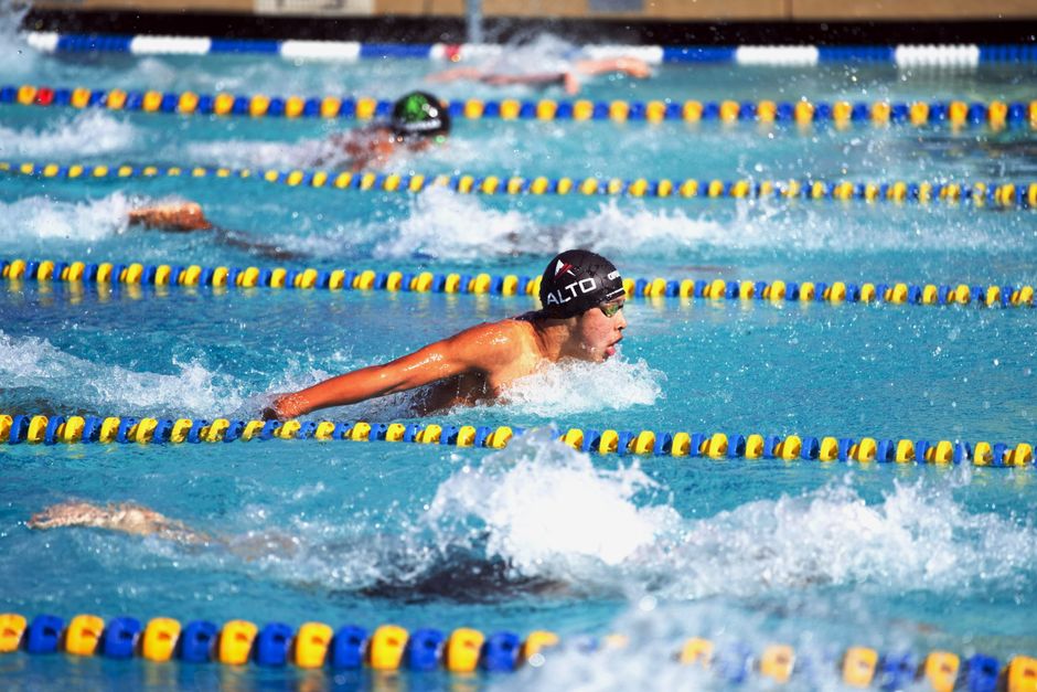 Swimmer in a pool lane during training
